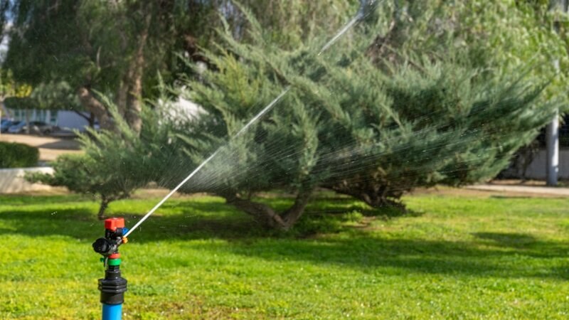 Water sprinkler watering a lawn